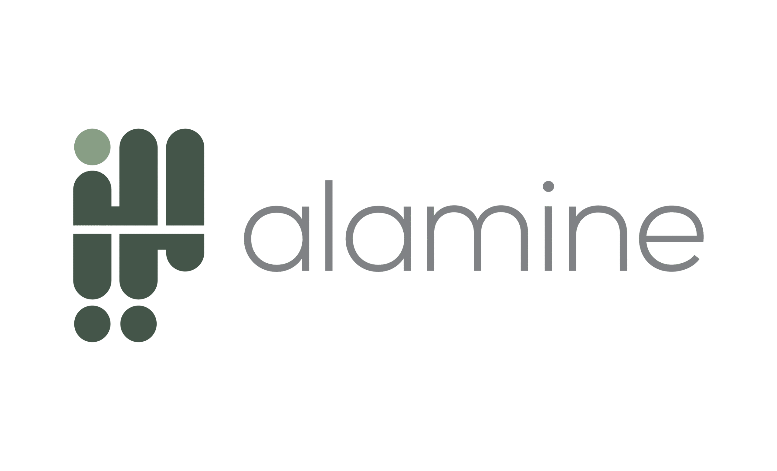 Alamine Youth